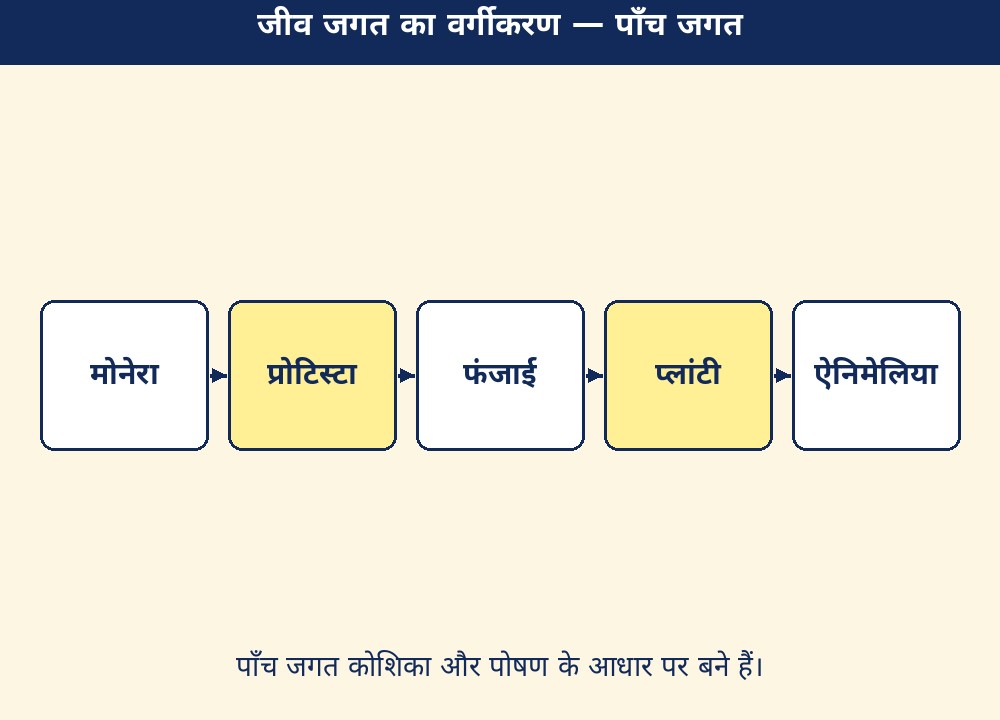 जीव जगत का वर्गीकरण — पाँच जगत