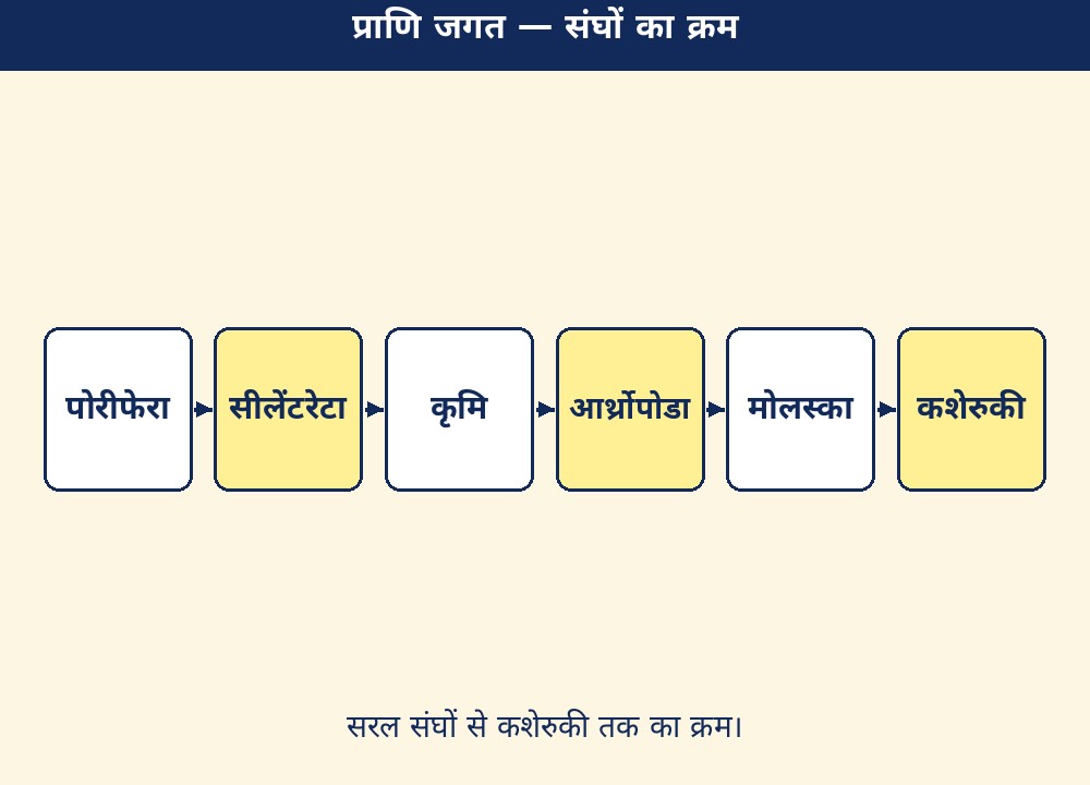 प्राणि जगत — संघों का क्रम