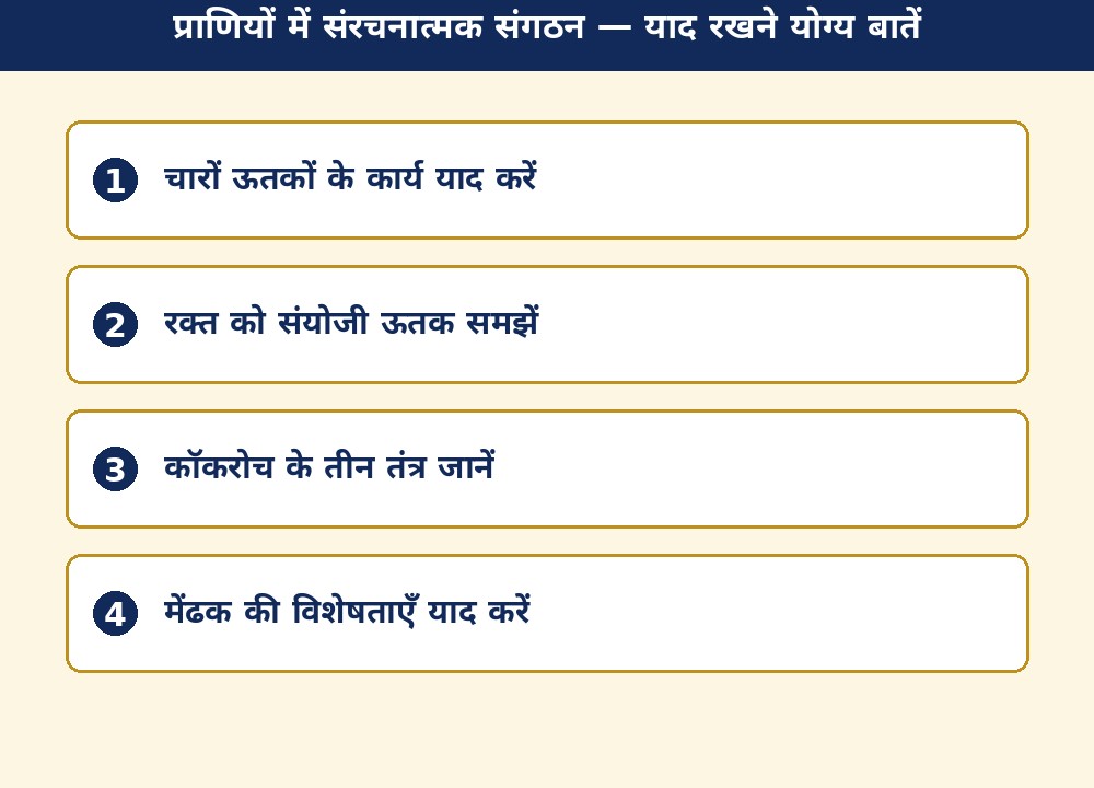 प्राणियों में संरचनात्मक संगठन — याद रखने योग्य बातें