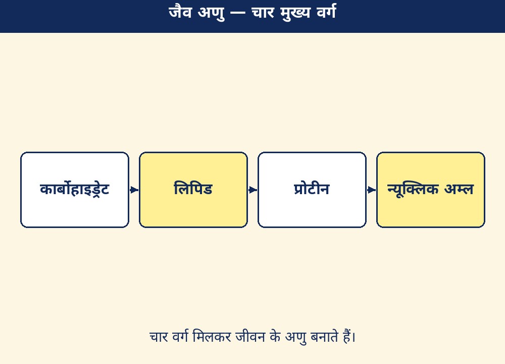 जैव अणु — चार मुख्य वर्ग