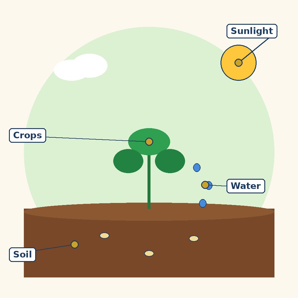 Labelled diagram for Introduction to Agricultural Practices
