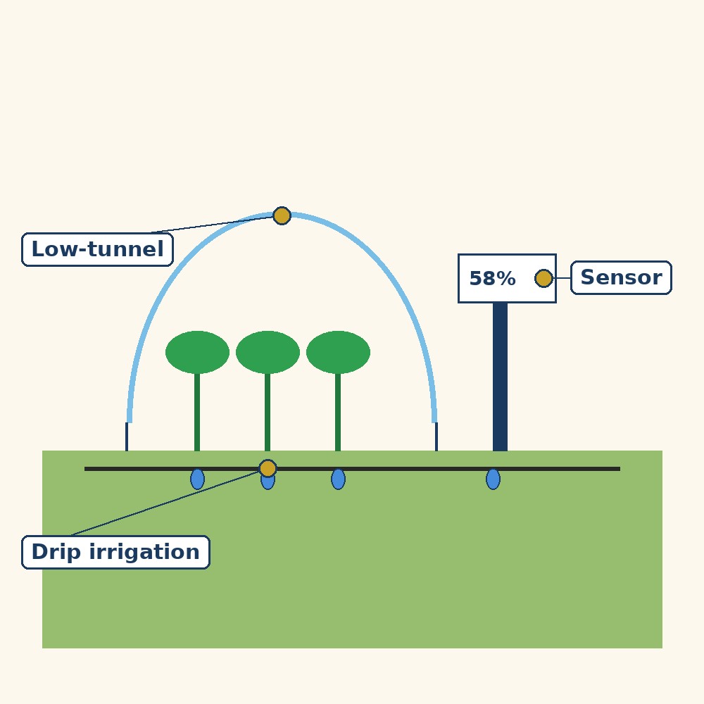 Labelled diagram for Precision Farming